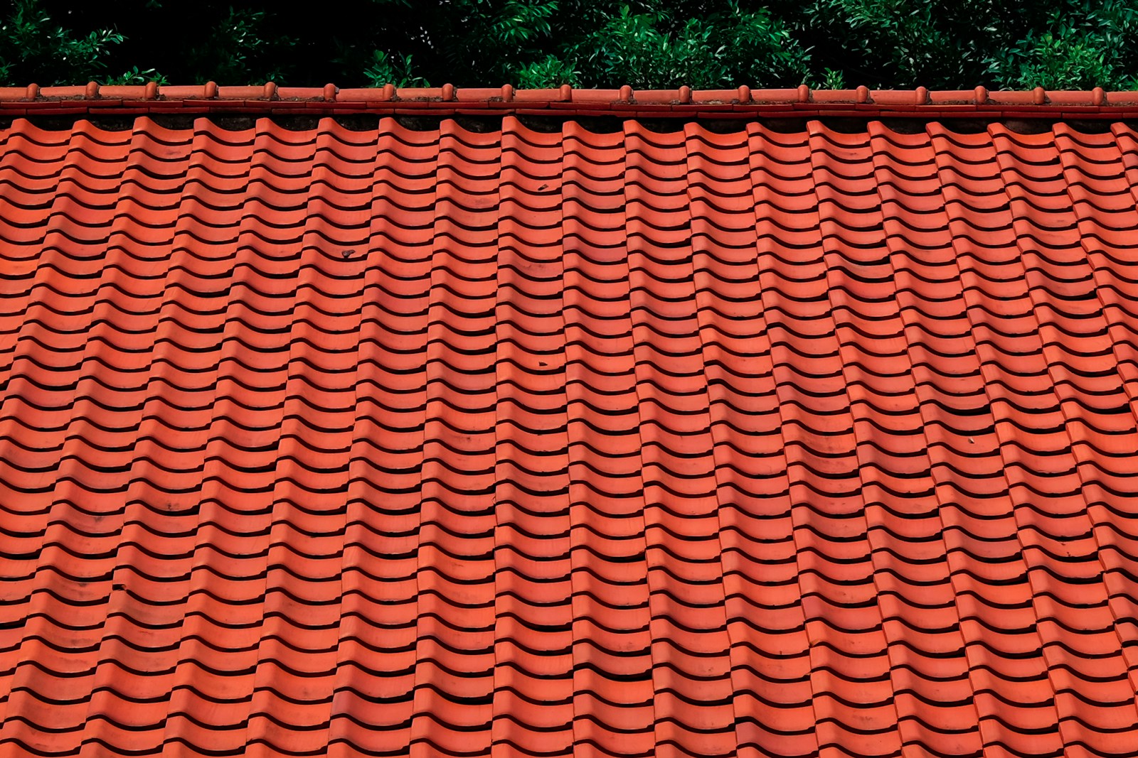 Take Charge: A Beginner’s Guide to DIY Metal Roofing