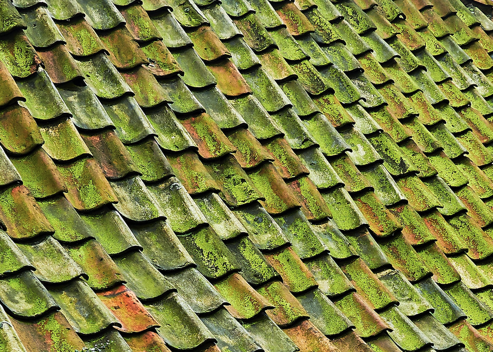 The Perfect Tile Placement: Achieving Roofing Excellence
