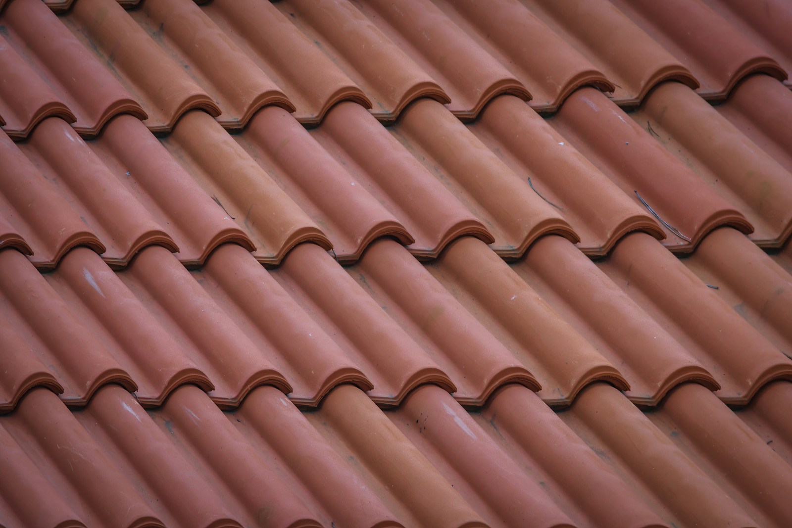 Innovate and Sustain: Exploring Eco-friendly Roofing Options