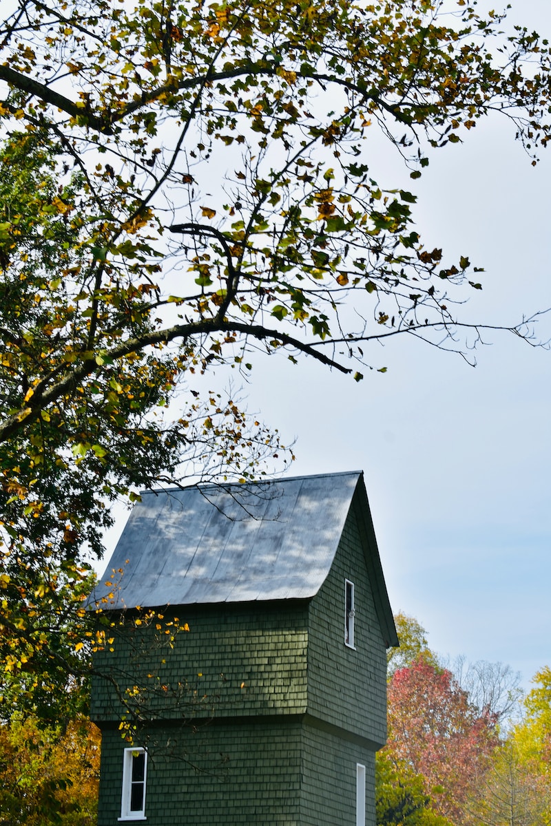 Anatomy of a Shingle Roof: Getting the Installation Right